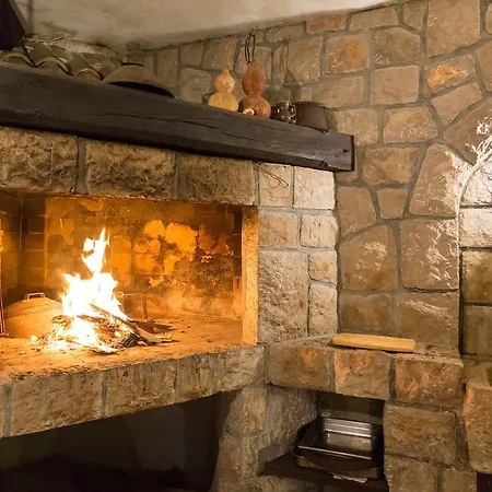 公寓 Barbara With Private Pool 杜布罗夫尼克